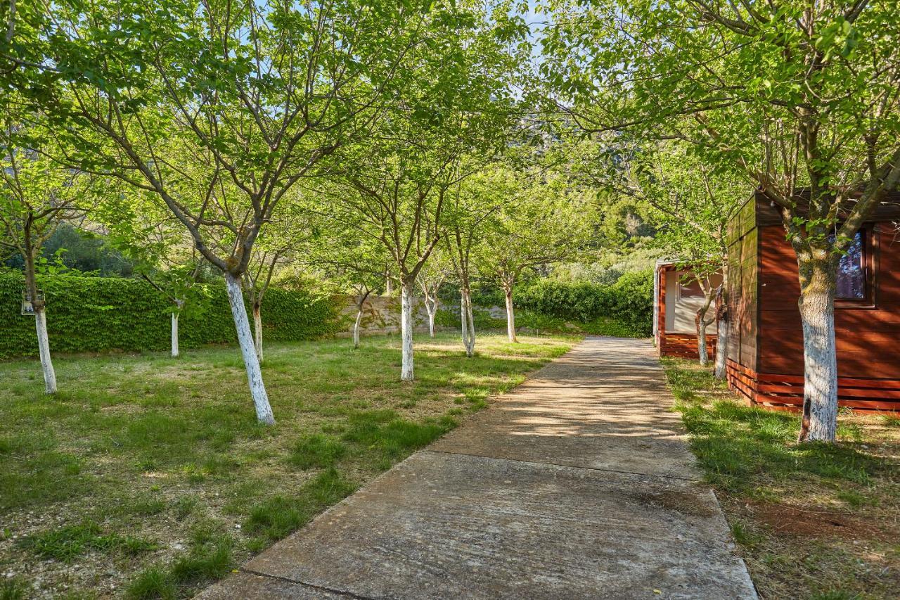 Mobile Homes Village "Mungos" Mljet Babino Polje エクステリア 写真
